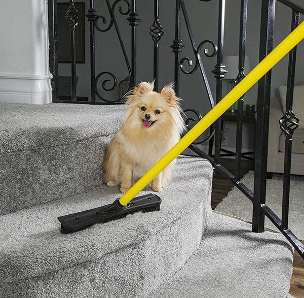Pet hair removal broom with scraper and telescopic handle